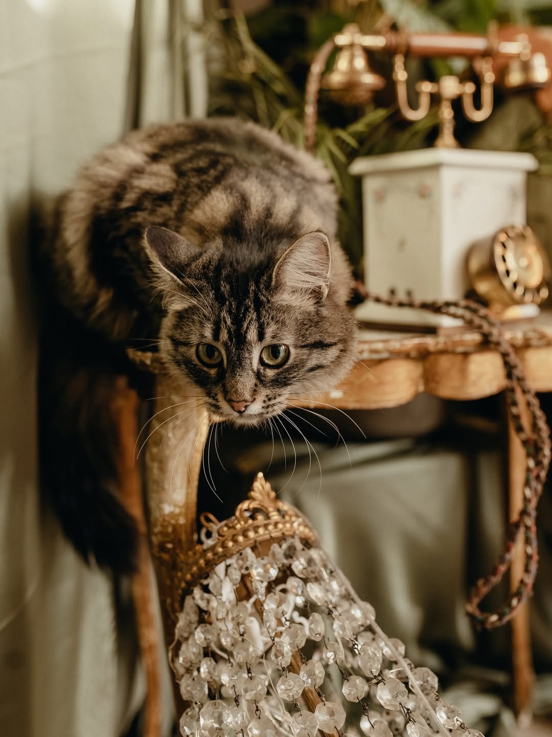 Vintage - фото 9